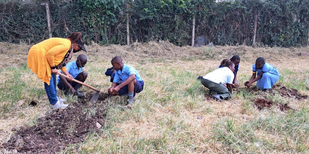 WhatsApp Image 2023-06-27 at 4.56.09 PM