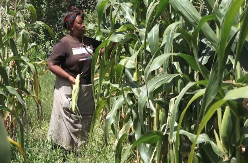 Connecting farming livelihoods with catchment protection: PES arrangements can reward farmers for agreed practices that conserve soil and water.